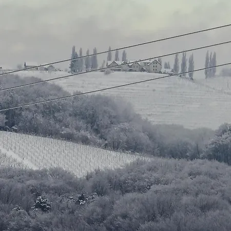 Apartment Apartma Minka Miklavz pri Ormozu