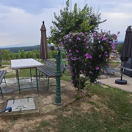 Apartma Minka Apartment *