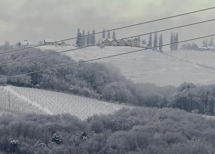 דירה Apartma Minka Miklavz pri Ormozu